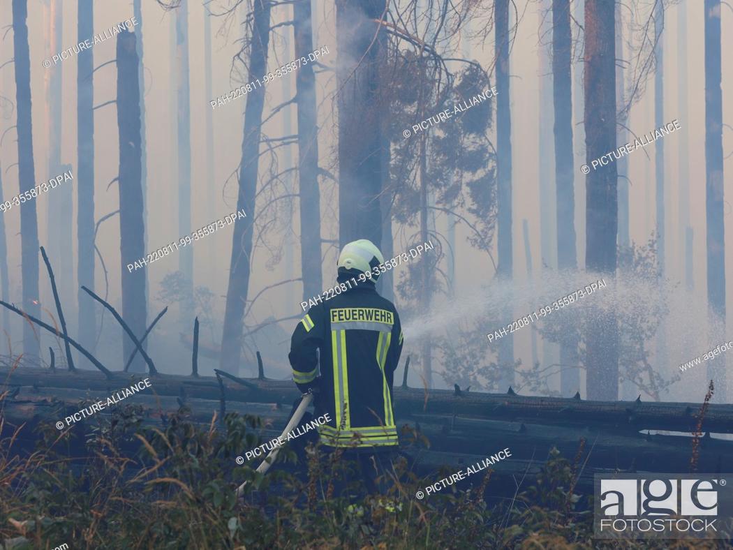 Stock Photo: 11 August 2022, Saxony-Anhalt, Schierke: Rescue forces of the fire department fight a larger forest fire in Schierke. Since 2 p.m.