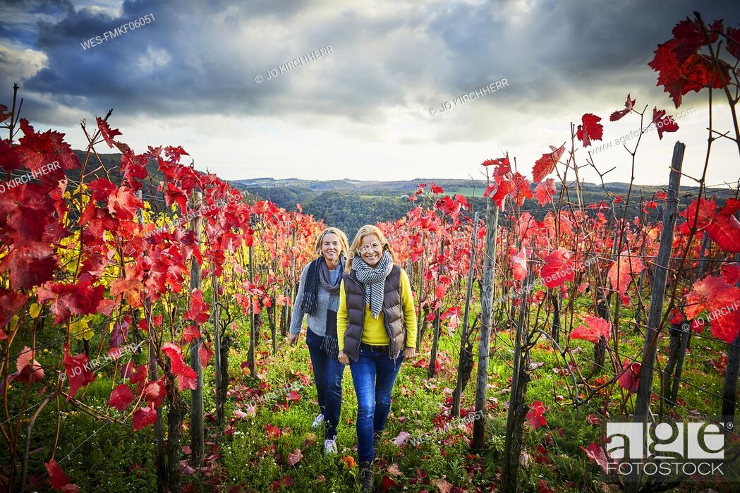 Stock Photo: Two mature woman strolling through a vineyard.