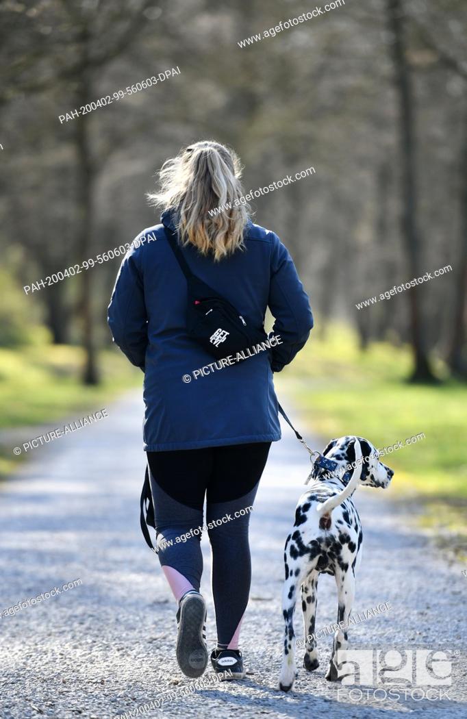 Stock Photo: 31 March 2020, Thuringia, Sondershausen: A young woman goes for a walk in the park with a dog. Due to the coronavirus pandemic.