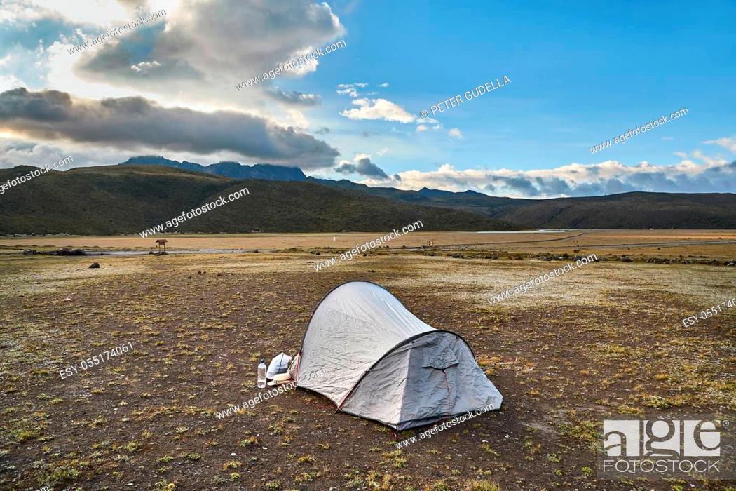 Stock Photo: Tent set up on a meadow in the Andes, Cotopaxi national park, Cotopaxi plateau.