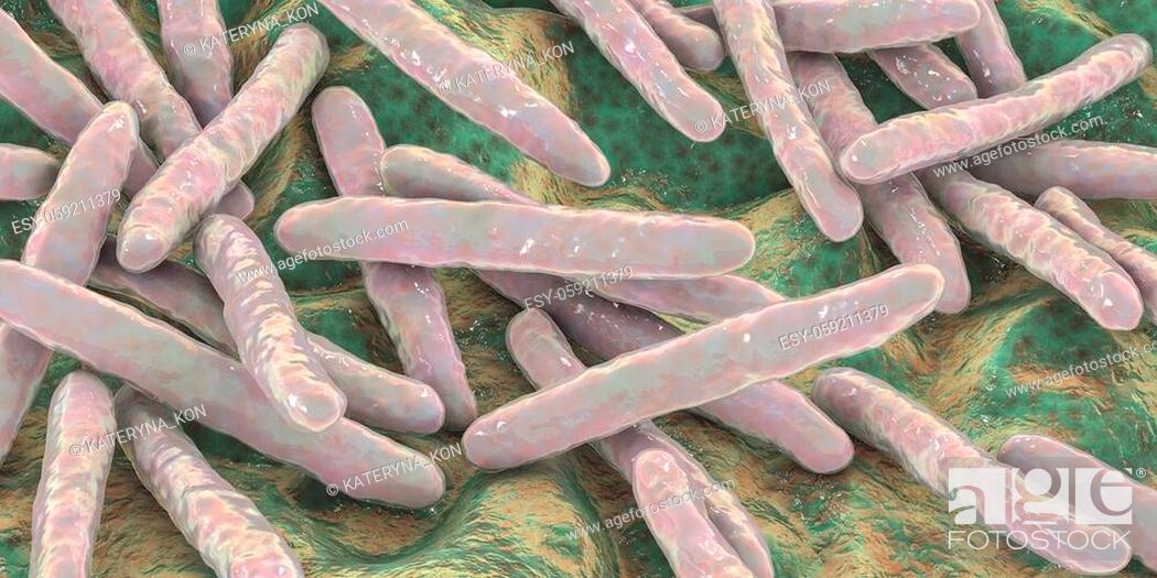 Stock Photo: Bacteria Mycobacterium tuberculosis, the causative agent of tuberculosis, 3D illustration, can be used for M. leprae, M. avium complex and other mycobacteria.