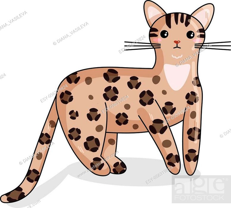 Vector Character of Bengal Cat in Kawaii Style. Cute Cartoon Kitty  Character, Stock Vector, Vector And Low Budget Royalty Free Image. Pic.  ESY-056319824 | agefotostock
