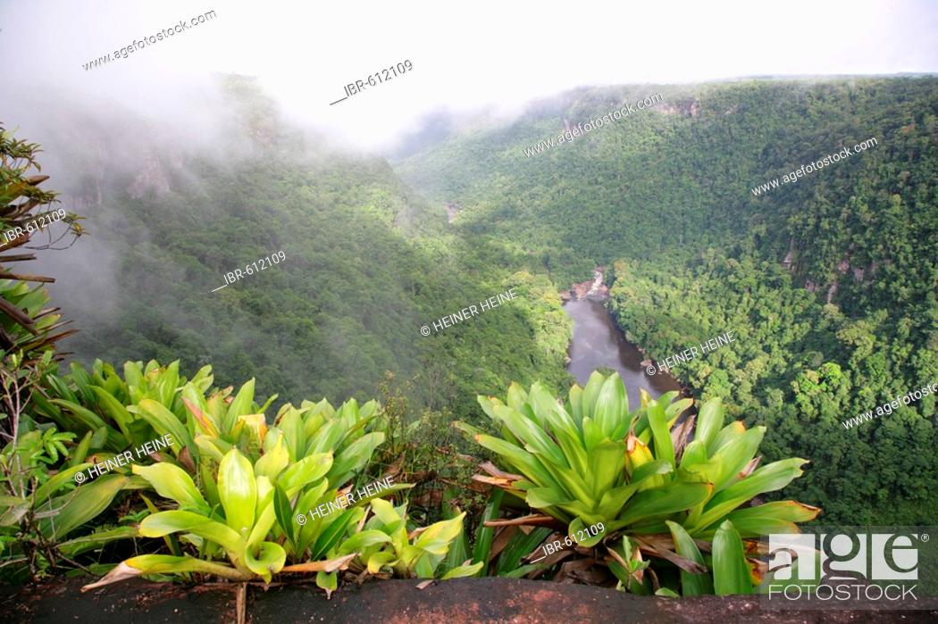 Stock Photo: After tropical rains, Kaieteur Waterfalls, Potaro National Park, Guyana, South America.