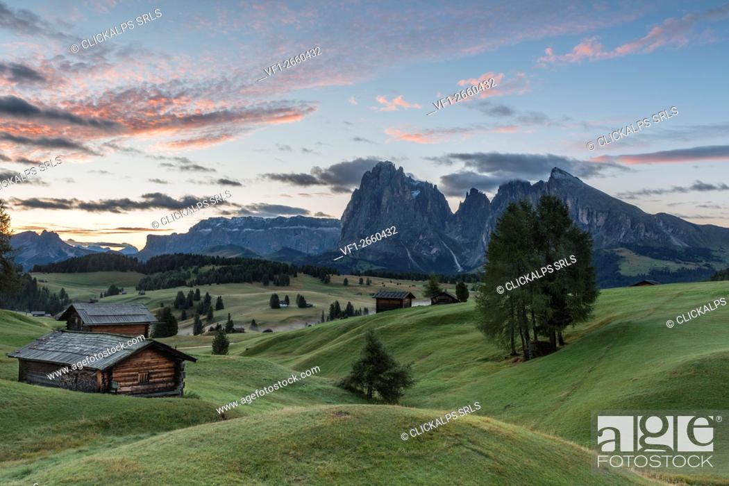 Stock Photo: Alpe di Siusi/Seiser Alm, Dolomites, South Tyrol, Italy. Sunrise on the Alpe di Siusi. In the Background the peaks of Sassolungo/Langkofel and Sassopiatto /.