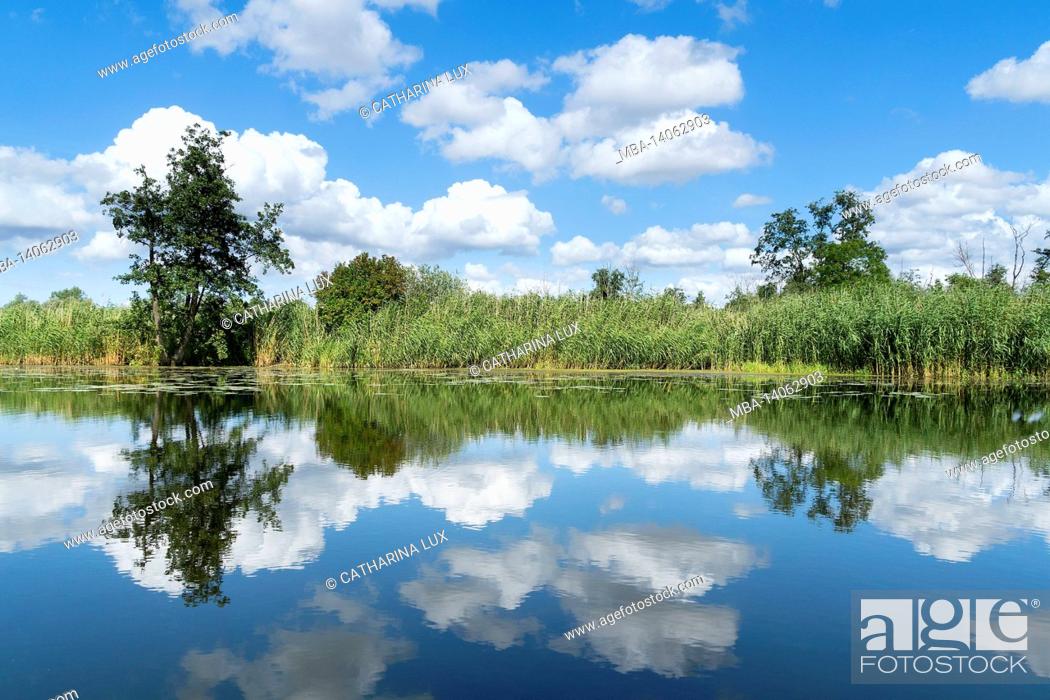Stock Photo: peenetal river landscape nature park, swinow river near güstrow, mirroring.