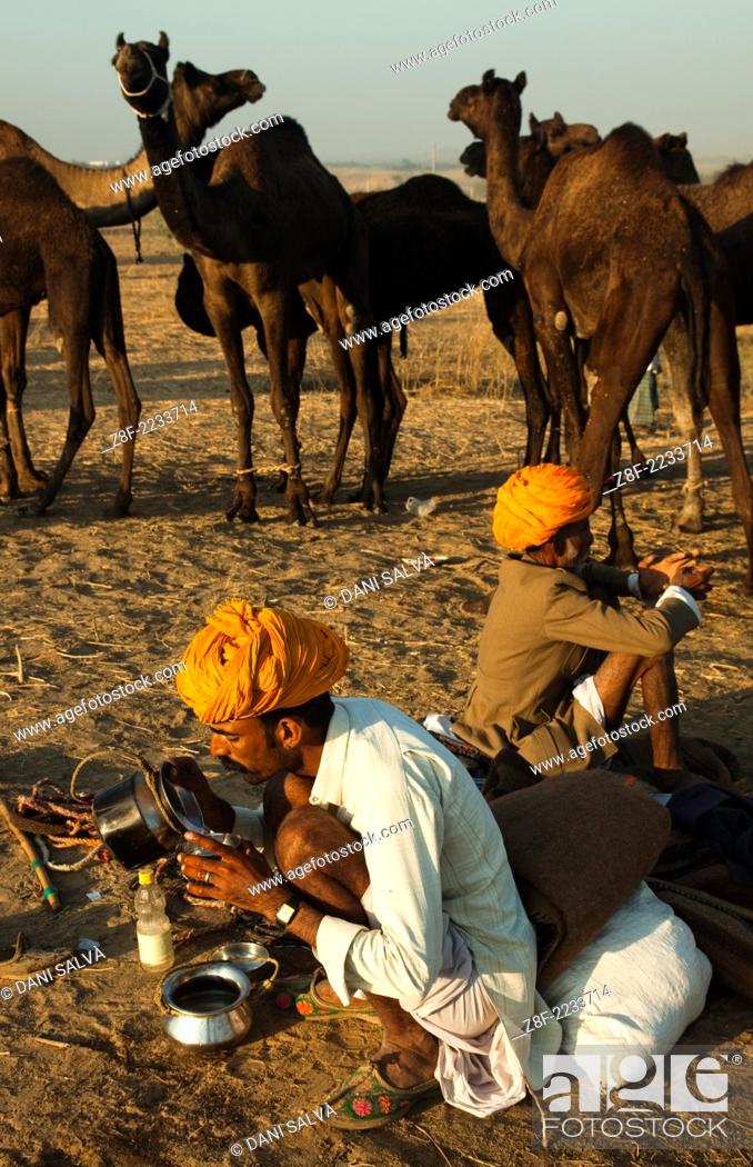 Stock Photo: In the ground in Pushkar Camel Fair.