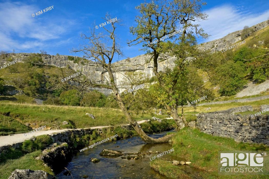 Stock Photo: England, North Yorkshire, Malhamdale. Footpath alongside Malham Beck with Malham Cove, a spectacular curved limestone formation in the Yorkshire Dales National.