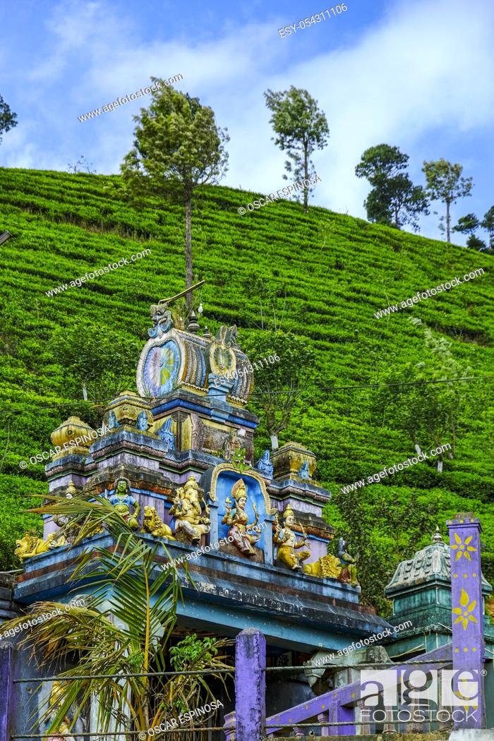Photo de stock: Hindu temple near a tea plantation in Nanu Oya, Sri Lanka.