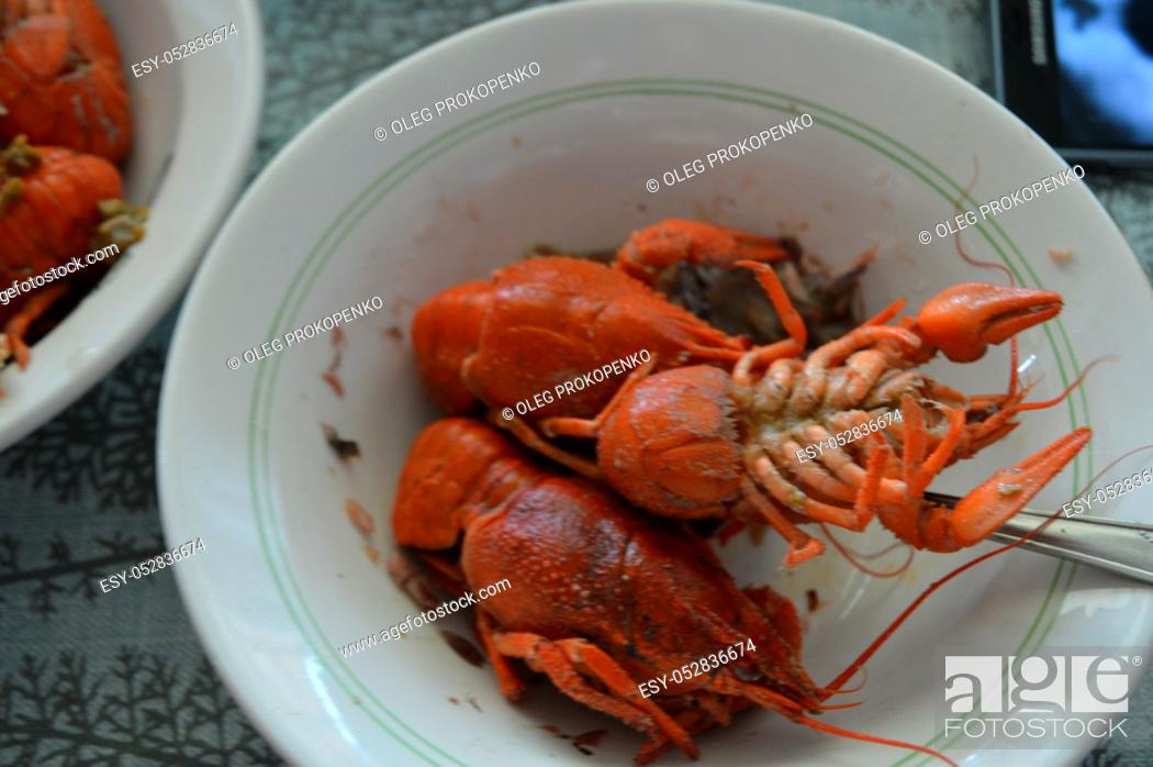 Imagen: Prepared boiled crayfish in a plate.