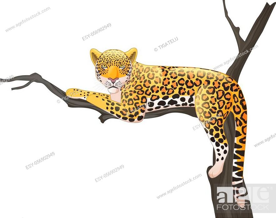 Vector illustration of Cartoon leopard lying on a tree branch, Stock  Vector, Vector And Low Budget Royalty Free Image. Pic. ESY-056902949 |  agefotostock