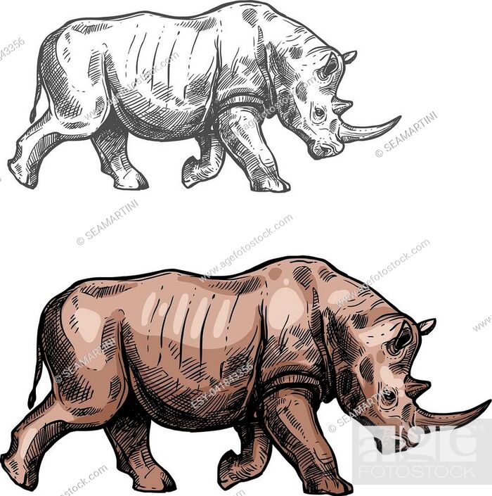 Rhinoceros wild animal sketch vector icon side view. Wild rhino mammal  species for wildlife fauna..., Stock Vector, Vector And Low Budget Royalty  Free Image. Pic. ESY-041843356 | agefotostock