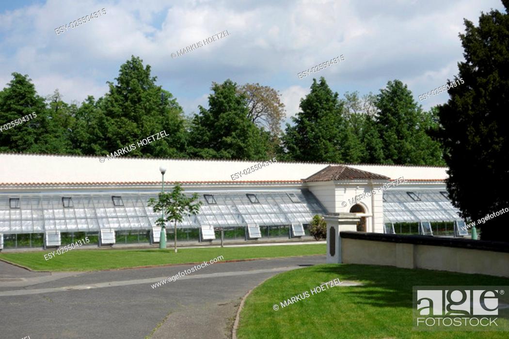 Stock Photo: greenhouse at the prague castle.