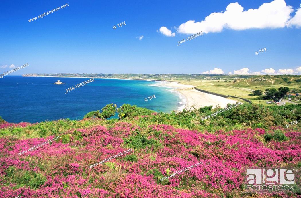 Proportional mager Barn Channel Islands, Island of Jersey, St. Ouen Bay, St. Ouens Bay, Coast,  Coastal, Coastline, Flowers, Stock Photo, Picture And Rights Managed Image.  Pic. H44-10839440 | agefotostock