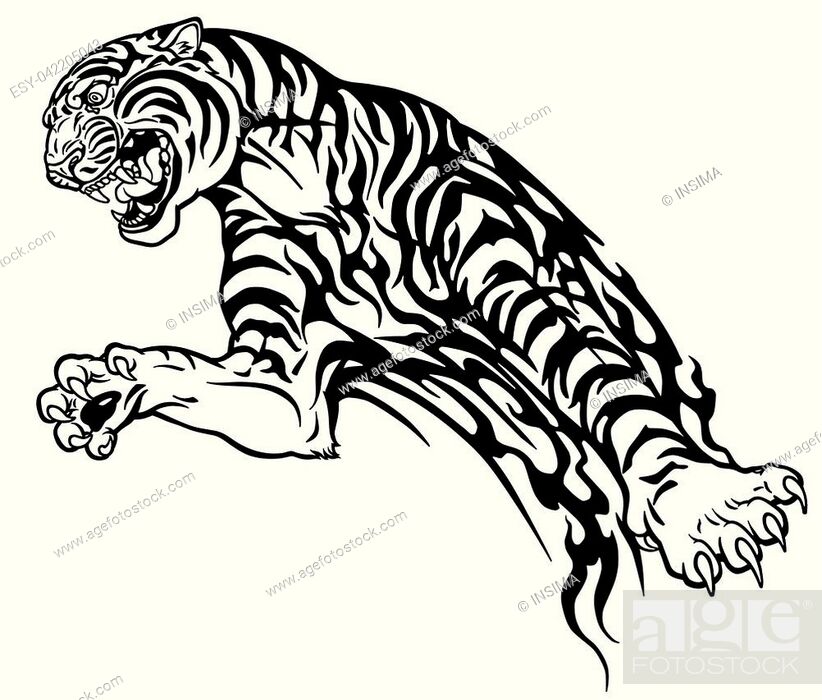 tiger in the jump. Aggressive big cat . Black and white tribal tattoo style  vector illustration, Stock Vector, Vector And Low Budget Royalty Free  Image. Pic. ESY-042205043 | agefotostock