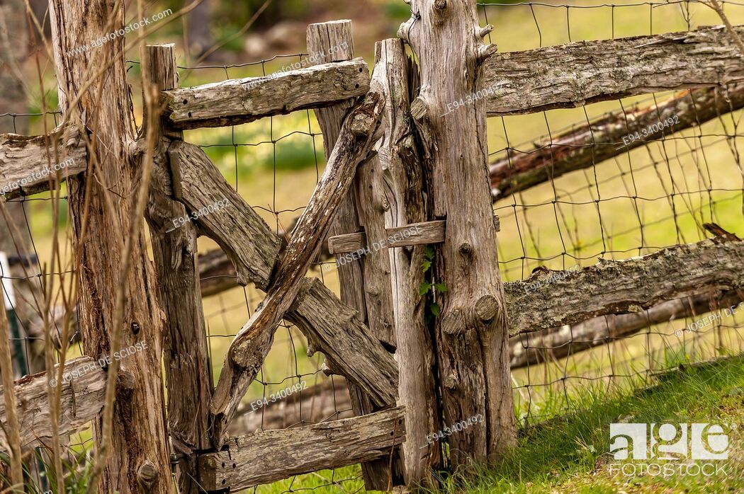 Stock Photo: A rough made fence with chicken wire.
