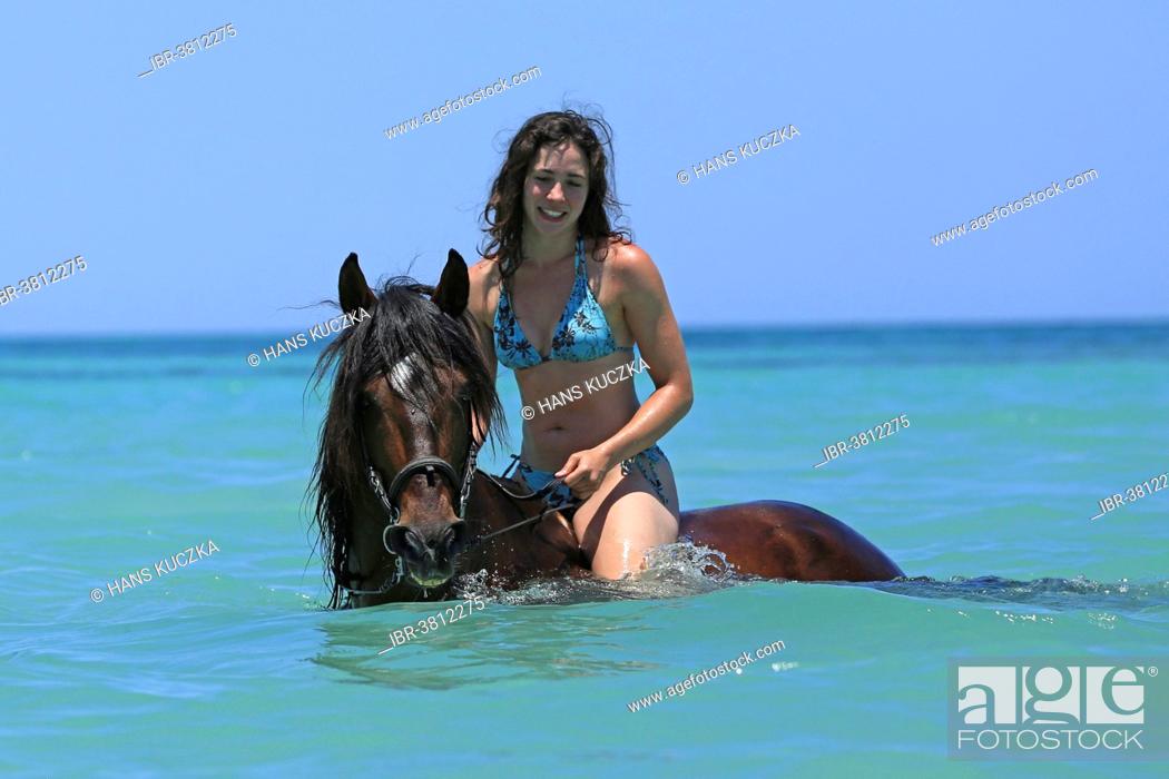 wearing a bikini riding a Barb horse in the sea, riding vacation, Djerba, Tunisia, Foto de Stock, Imagen Derechos Protegidos Pic. IBR-3812275 | agefotostock