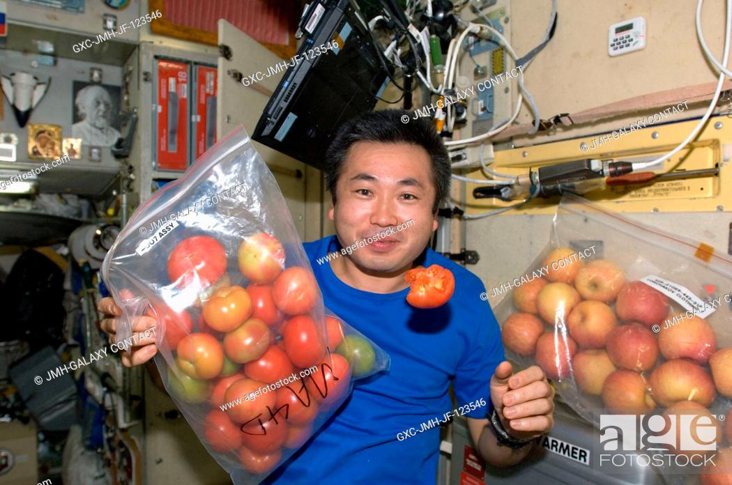 Stock Photo: Japan Aerospace Exploration Agency (JAXA) astronaut Koichi Wakata, Expedition 1920 flight engineer, is pictured with fresh tomatoes and apples in the Zvezda.