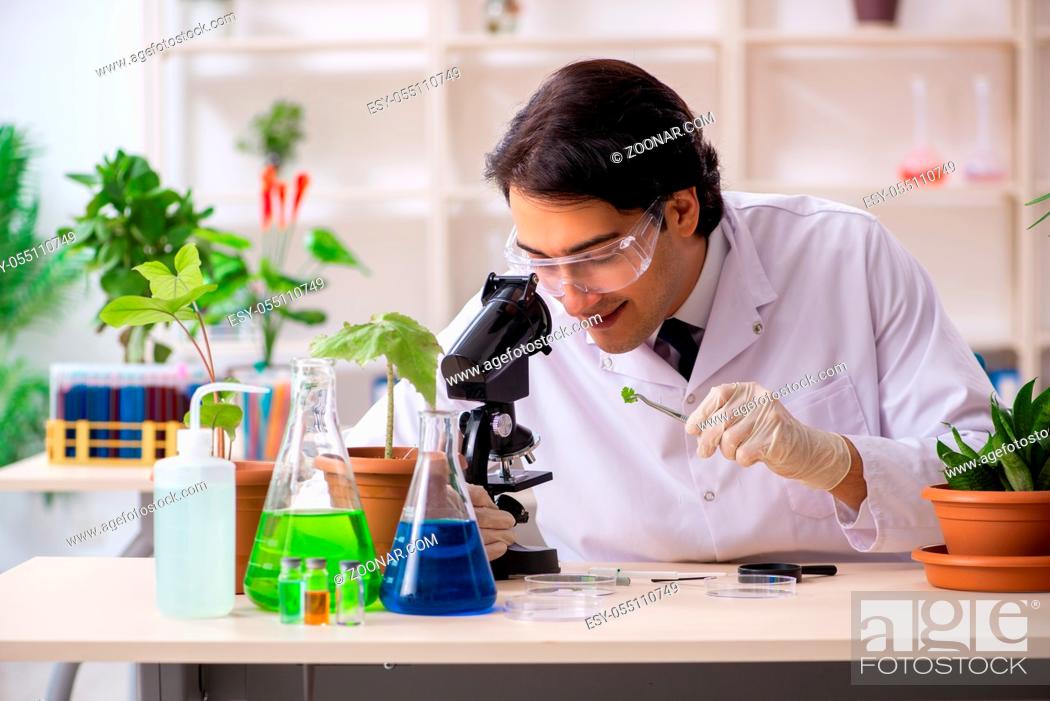 Stock Photo: Biotechnology chemist working in lab.