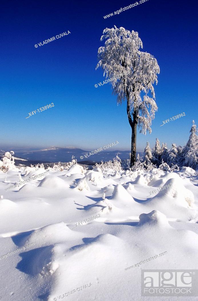 Stock Photo: Winter scenery in the hills of Male Karpaty, Slovakia.