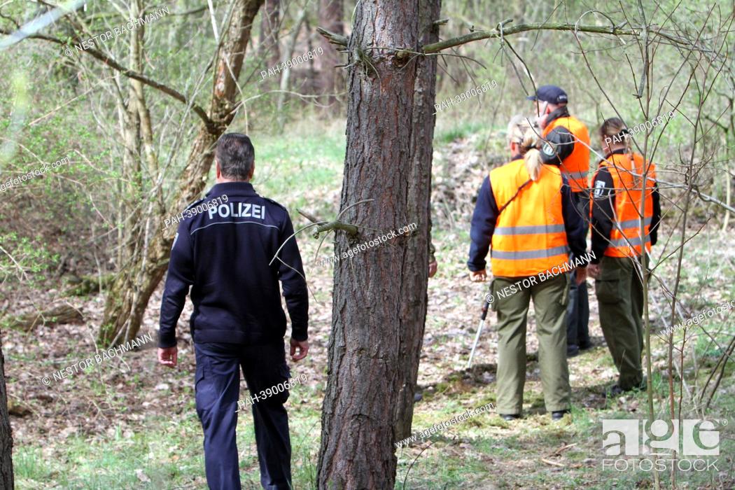 Stock Photo: Officers of a canine squad of the Berlin police search for the missing head of a corpse in a forest in Treuenbrietzen, Germany, 24 April 2013.