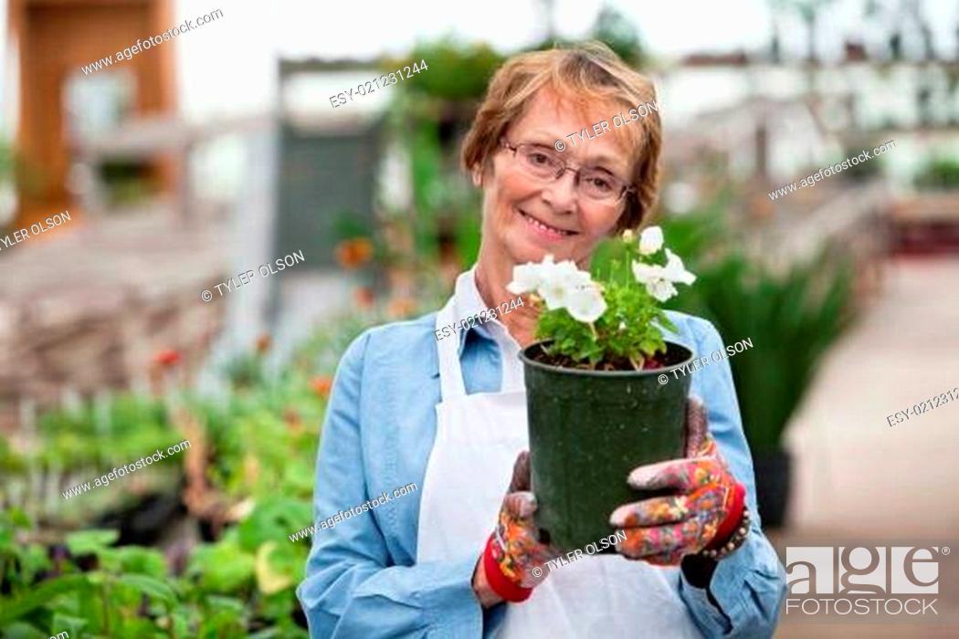Stock Photo: Senior woman holding flower pot.