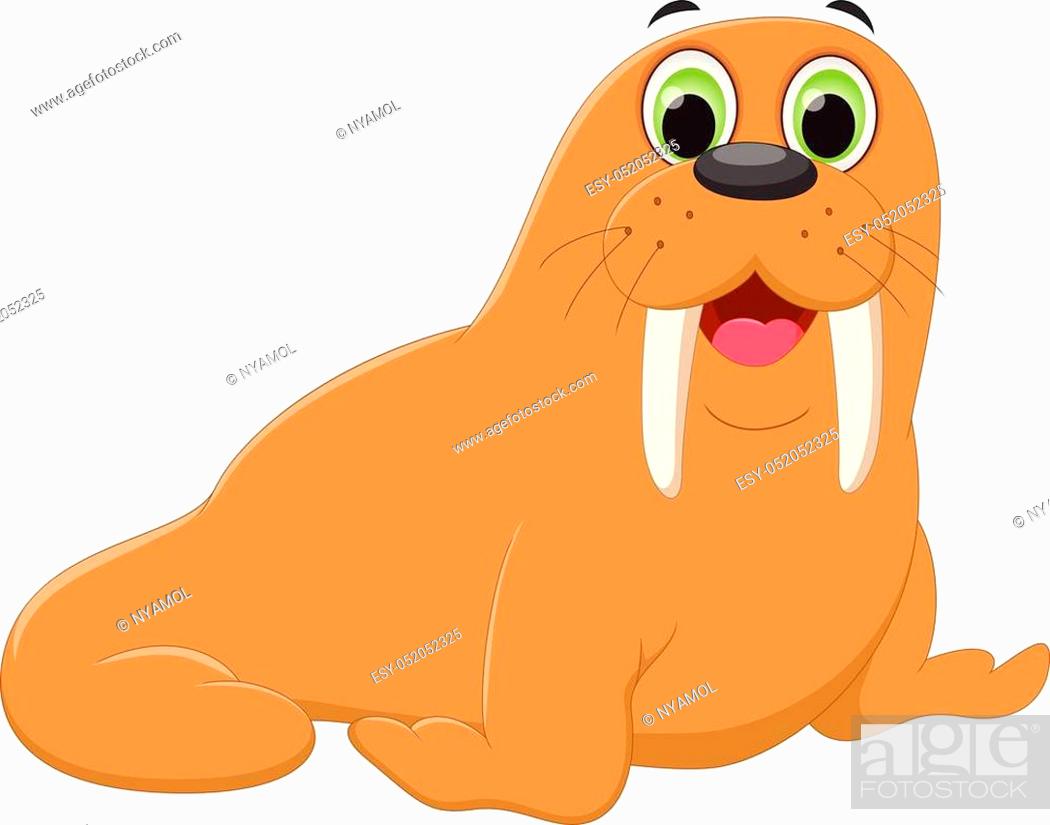vector illustration of cute walrus cartoon, Stock Vector, Vector And Low  Budget Royalty Free Image. Pic. ESY-052052325 | agefotostock