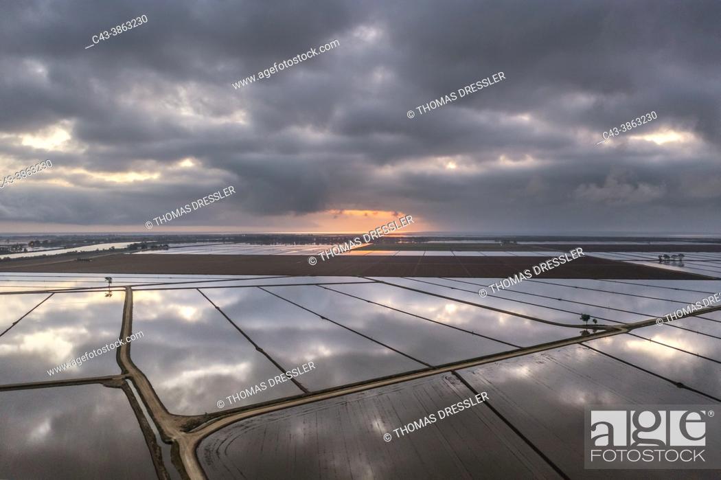 Stock Photo: Flooded rice fields in May at daybreak. Aerial view. Drone shot. Ebro Delta Nature Reserve, Tarragona province, Catalonia, Spain.