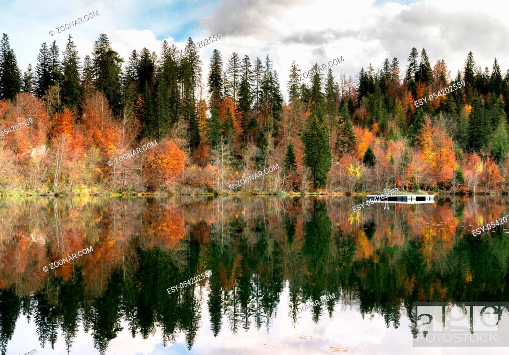 Stock Photo: fall color forest and foliage landscape surround an idyllic mountain lake in the Alps of Switzerland on a late autumn day with reflections in the water and a.