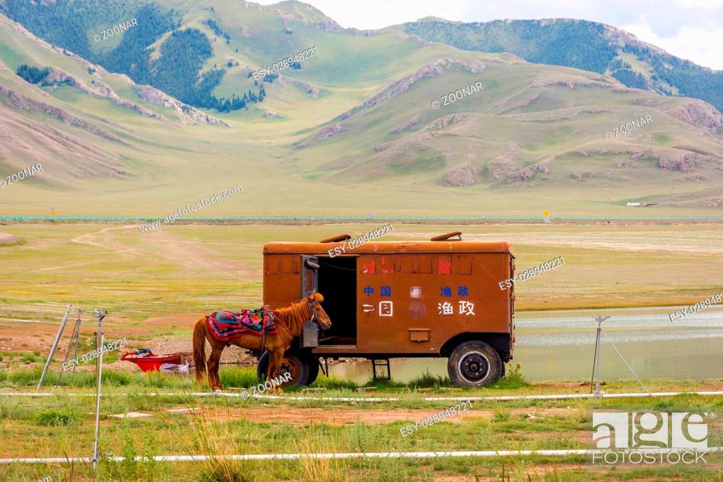 Stock Photo: Horse and caravan, Sayram lake, China.