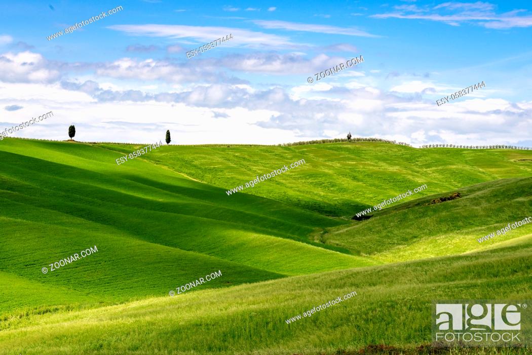 Photo de stock: View of the Scenic Tuscan Countryside.