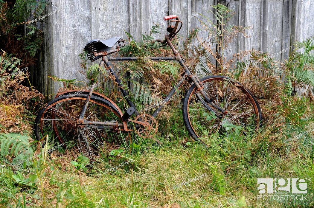 Stock Photo: Old bicycle, Glen Etive, Southern Highlands, Scotland, Great Britain / Altes Fahrrad, Glen Etive, Südliche Highlands, Schottland, Großbritannien.
