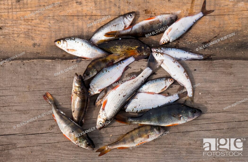 Stock Photo: Fish on wooden boards.