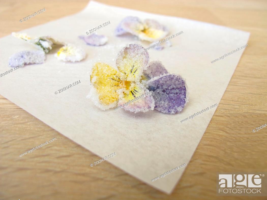 Stock Photo: Flower, Food, White, Sugar, Horn, Sweet, Egg, Can, Canned, Blossom, Candy, Edible, Horned, Preservation, Violet, Pansy, Preserve, Crystallize, Candied, Sugared, Crystallized, Zucker, Eggwhite, Sweeten, Veilchen, Viola Cornuta