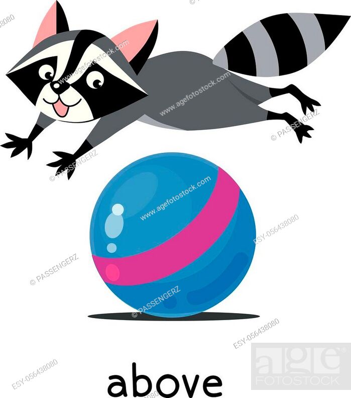 Funny raccoon above the ball. Preposition of place for learning english,  Stock Vector, Vector And Low Budget Royalty Free Image. Pic. ESY-056438080  | agefotostock
