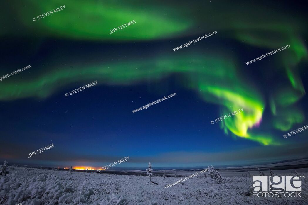 Stock Photo: The aurora borealis glows above a hoarfrost-covered landscape and the distant lights of Fort Greely; Alaska, United States of America.