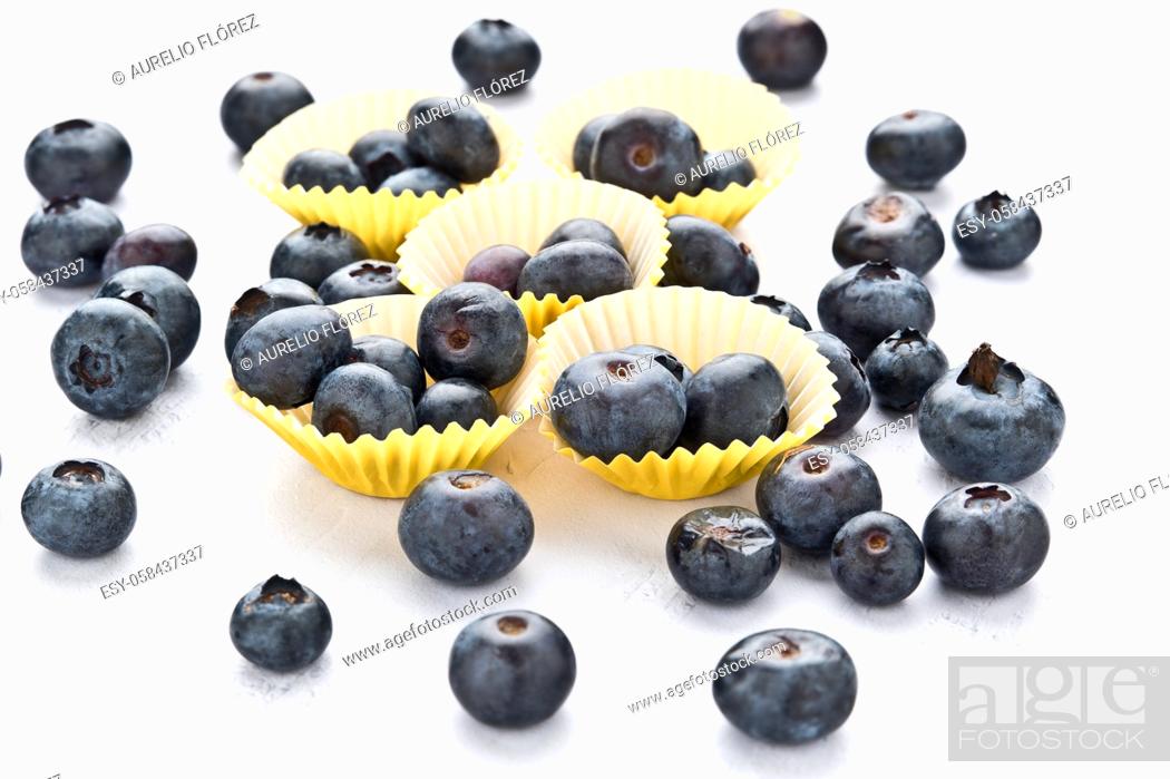 Photo de stock: Bilberry refers to a group of perennial dwarf shrubs in the genus Vaccinium, subgenus Oxycoccus, although some botanists consider Oxycoccus a separate genus.