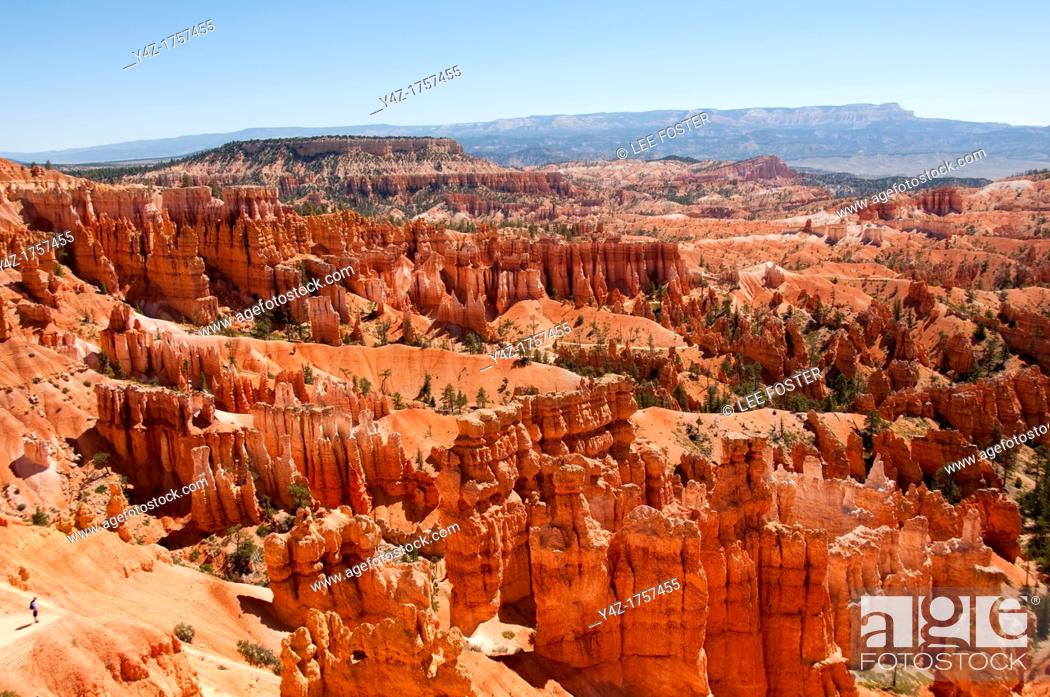 Stock Photo: USA, Utah, morning light on landscape at Sunset Point in Bryce Canyon National Park, start of the hike along the Navajo Trail.