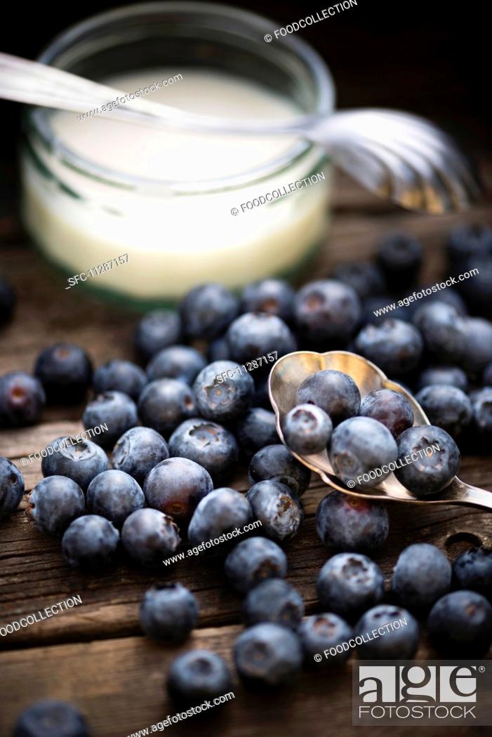 Stock Photo: Blueberries in front of a bowl of yogurt.