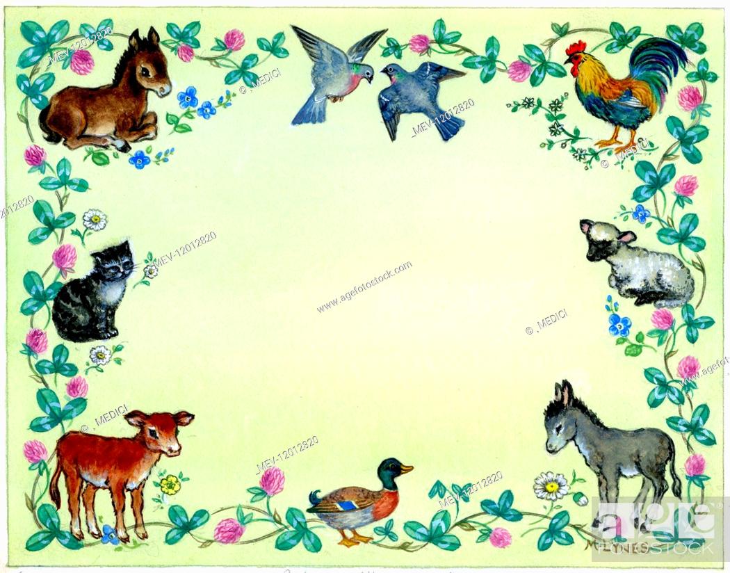 Border design with animals and birds, including kitten, foal, calf, donkey,  lamb, cockerel, Stock Photo, Picture And Rights Managed Image. Pic.  MEV-12012820 | agefotostock