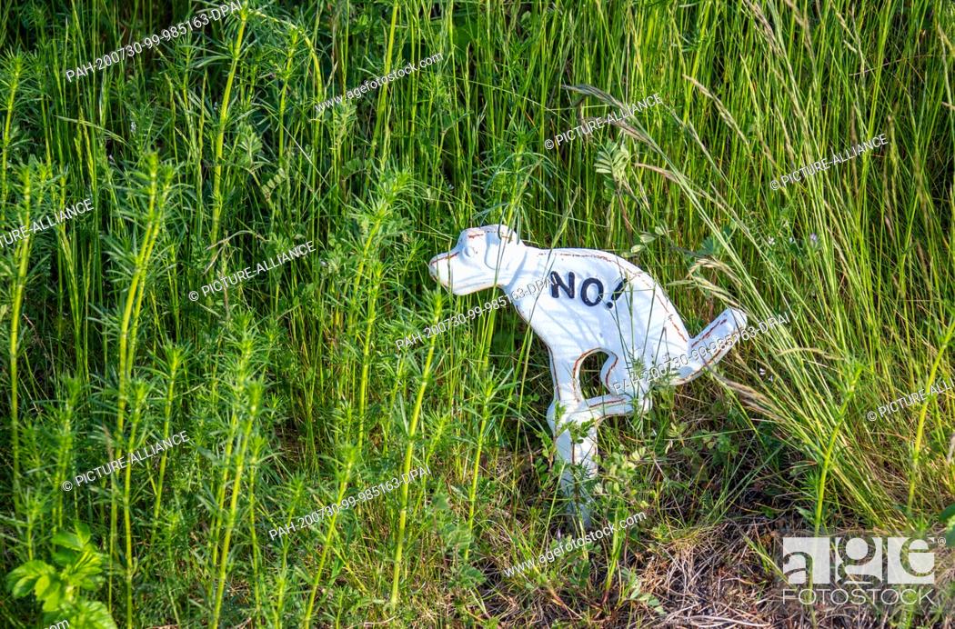 Stock Photo: 21 May 2020, Mecklenburg-Western Pomerania, Gager: A notice for dog owners that the meadow is not to be used as a dog toilet is located at the edge of the.
