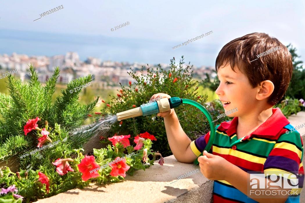 Stock Photo: boy watering flowers.