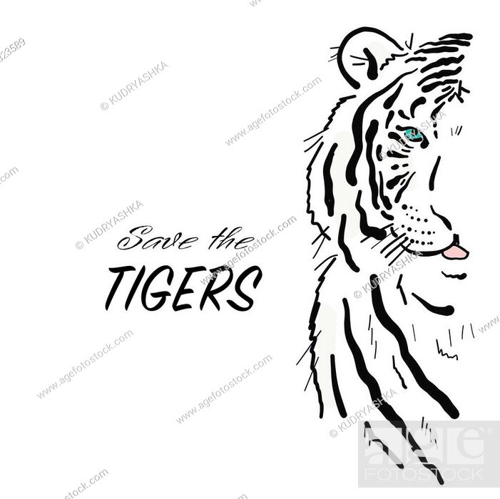 Save Tiger Posters for Sale  Redbubble
