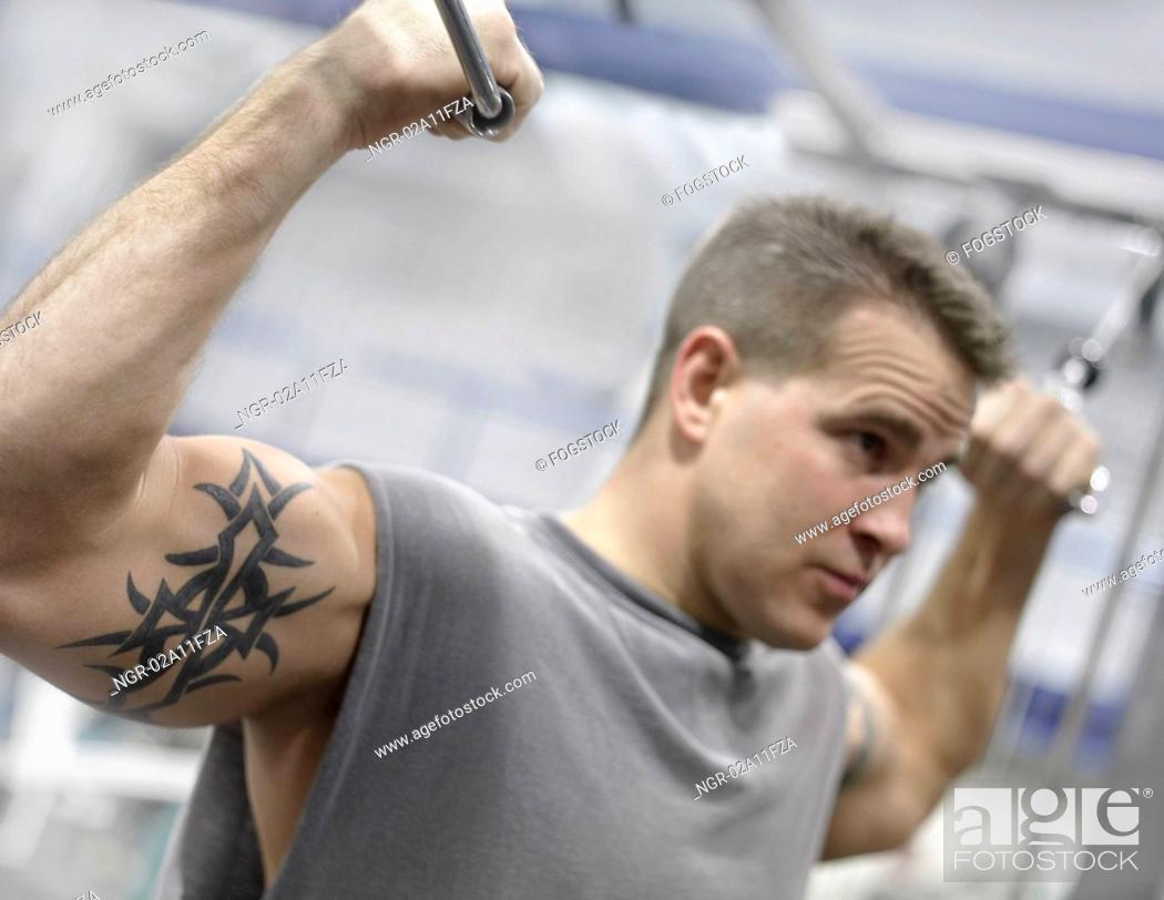 Tattooed Caucasian Man Lifting Weights In Gym, Stock Photo, Picture And Royalty Free Image. Pic. NGR-02A11FZA