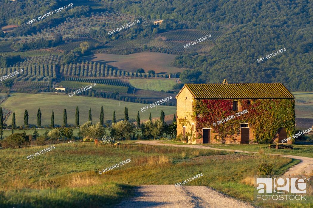 Stock Photo: Typical Tuscan morning autumn landscape, Val D'Orcia, Tuscany, Italy.