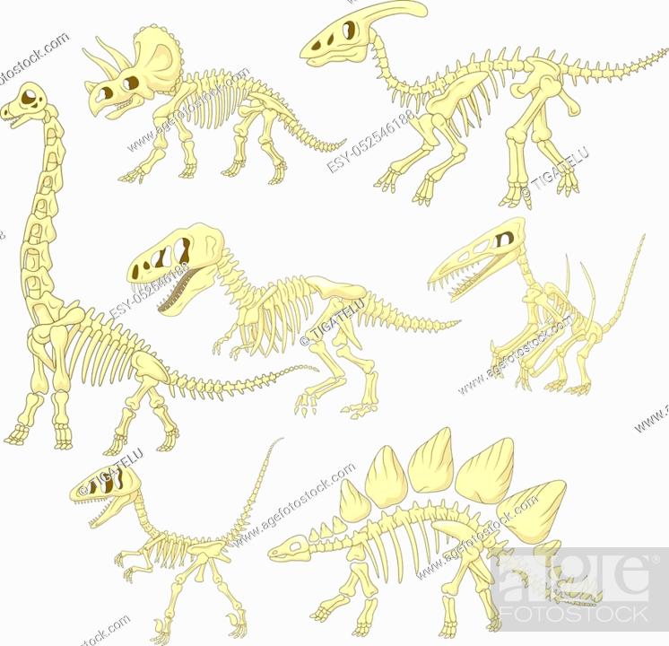 Vector illustration of Cartoon dinosaurs skeleton collection set, Stock  Vector, Vector And Low Budget Royalty Free Image. Pic. ESY-052546188 |  agefotostock