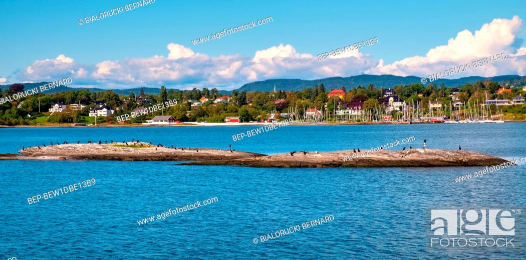 Stock Photo: Oslo, Ostlandet / Norway - 2019/09/02: Panoramic view of Oslofjord harbor with Cormorant sea birds resting on a rock with Bigdoy Oslo district in background.