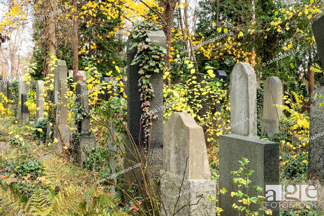 Stock Photo: Berlin, Jewish cemetery Berlin Weissensee, largest surviving Jewish cemetery in Europe, autumn mood, ivy tendrils.