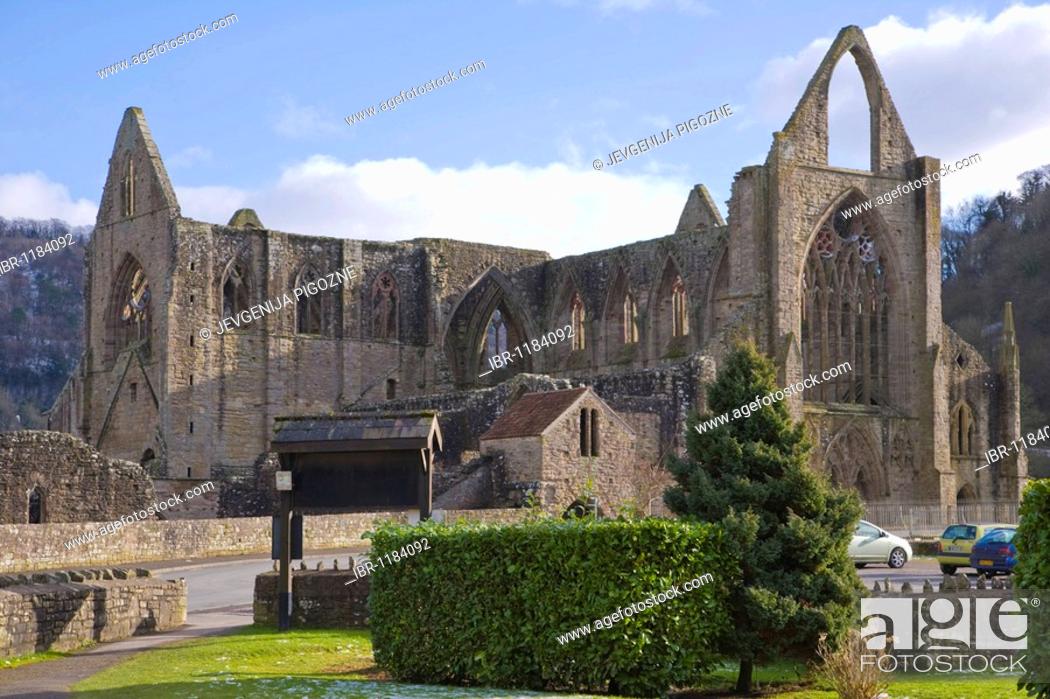 Stock Photo: Tintern Abbey, Wye Valley, South Wales, United Kingdom, Europe.