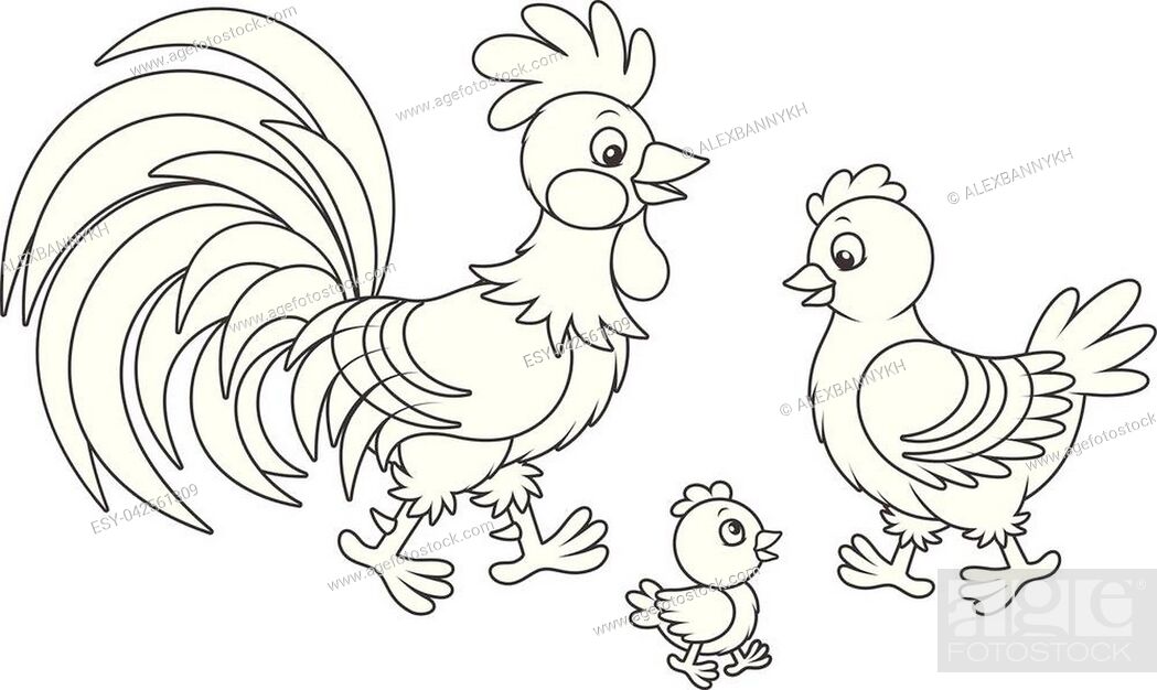 Funny chicken family walking, a black and white vector illustration in  cartoon style for a coloring..., Stock Vector, Vector And Low Budget  Royalty Free Image. Pic. ESY-042561309 | agefotostock