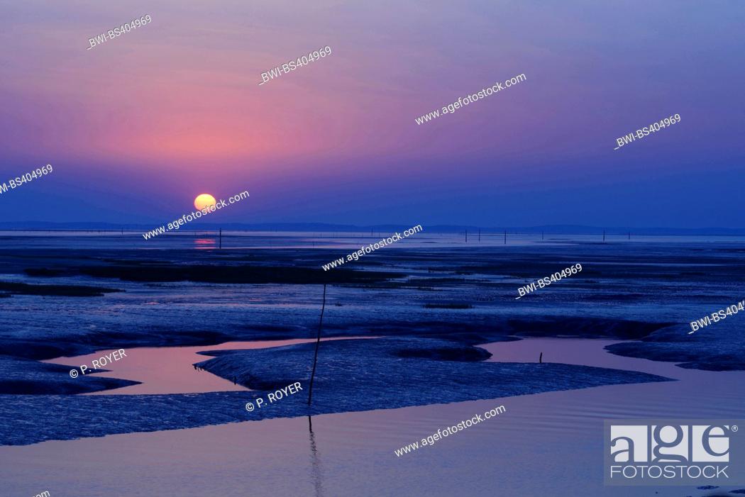Stock Photo: low water in the bay of Arcachon at sunset, France, Bordeaux, Arcachon.